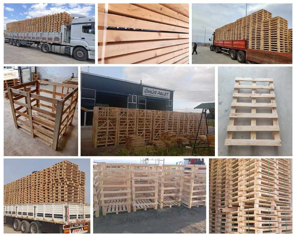 Fabricant de Palettes en Bois en Turquie